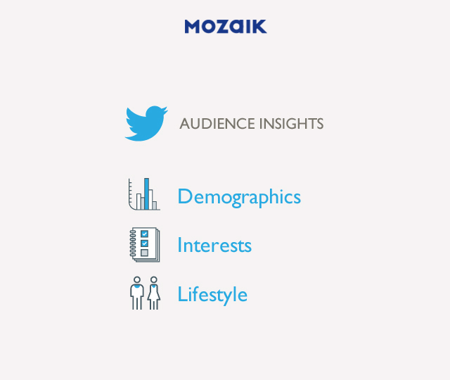 Twitter: Bing Partnership & Audience Insights